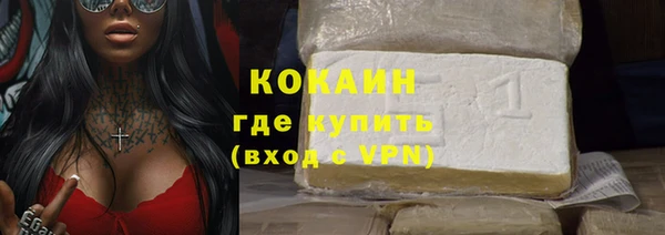 твердый Осинники