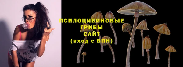 трава Новокубанск