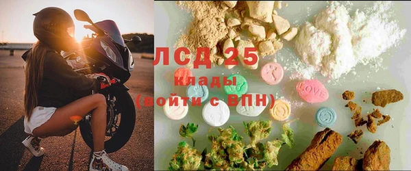 твердый Осинники