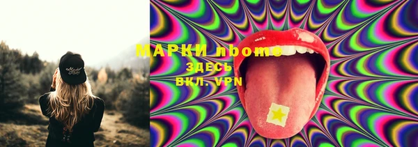 ПСИЛОЦИБИНОВЫЕ ГРИБЫ Верхний Тагил