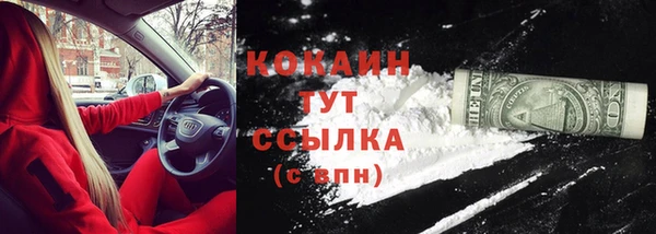 твердый Осинники