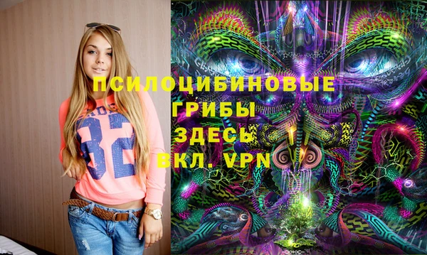 твердый Осинники