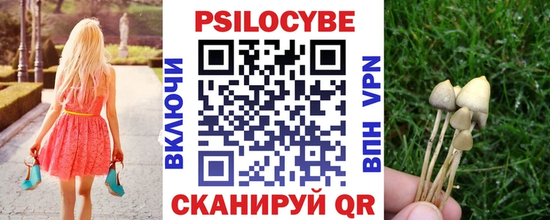 blacksprut ссылки  что такое наркотик  Яранск  Псилоцибиновые грибы GOLDEN TEACHER 