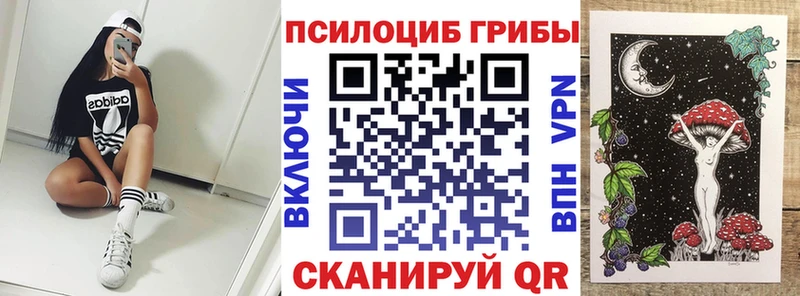 Псилоцибиновые грибы Cubensis Яранск